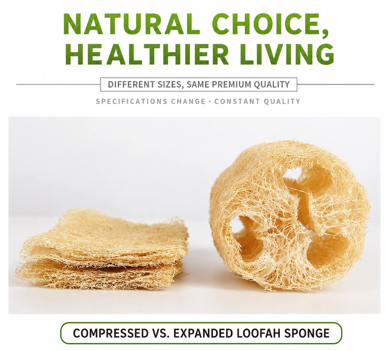 100% Natural Loofah Kitchen Sponge | Eco-Friendly Dish & Vegetable Scrubber (Set of 5) - DOUABLE KITCHEN
